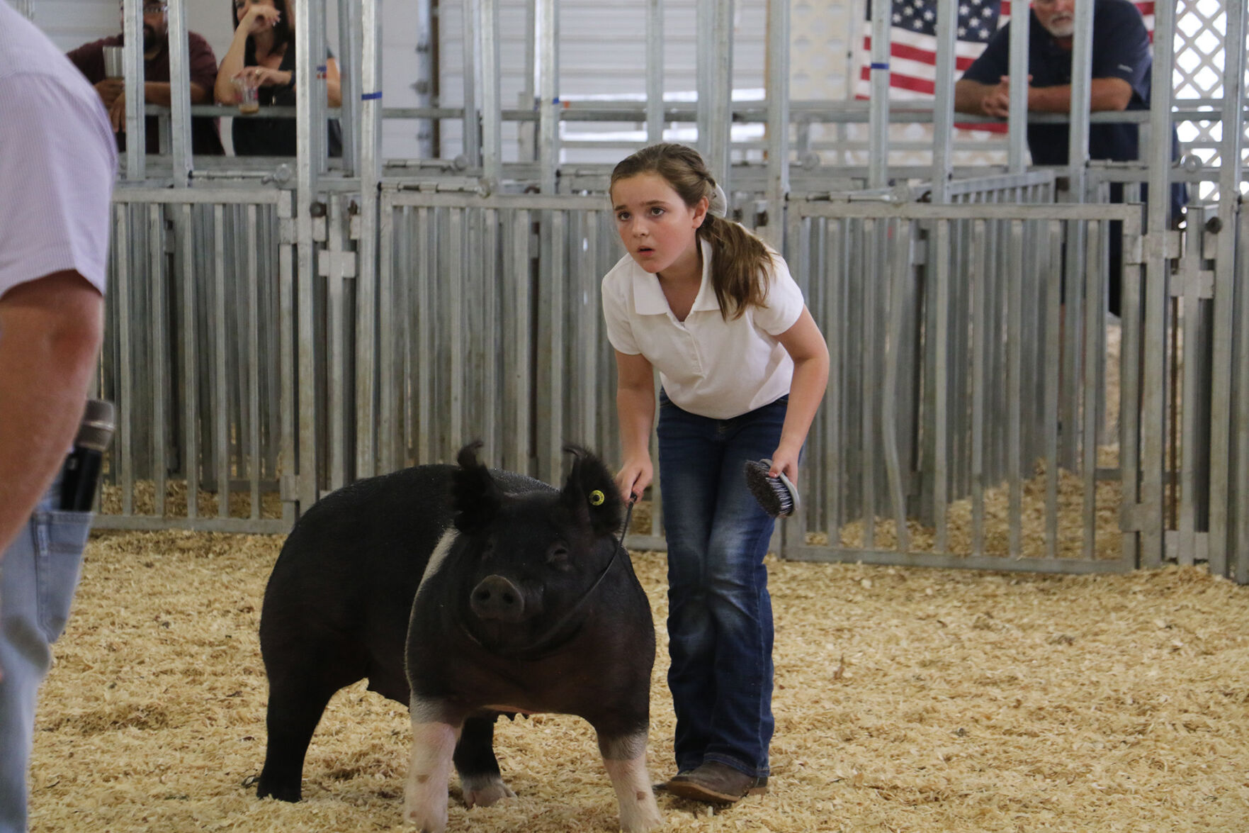 PHOTOS: Pig Showmanship